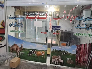 باسط گروپ