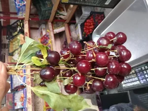 سوپر میوه حسن 3