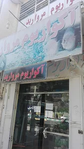 آکواریوم مروارید