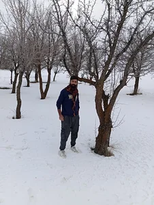بانبور