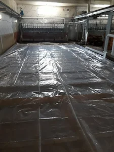 کارخانه یخ صدف