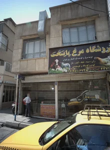 فروشگاه مرغ پایتخت