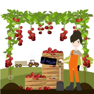 فروشگاه مزرعه شاد 2