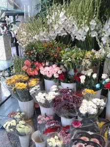 گلفروشی گلستان تک
