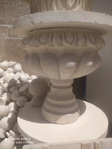 نما رومی محمدی