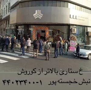 نمایندگی سایپا ابراهیم اسدی 3