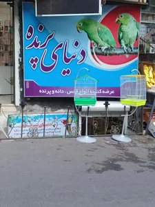 دنیای پرنده