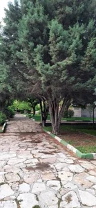 پارک فدک 2