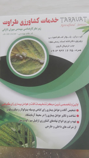 خدمات کشاورزی گیاه پزشکی طراوت