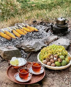 زنبور داری شیری