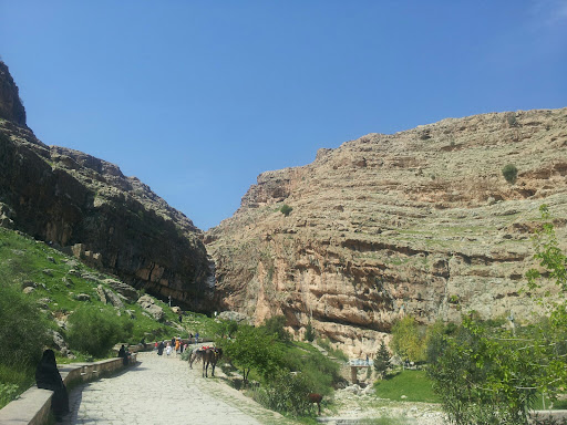 اشکفت سلمان