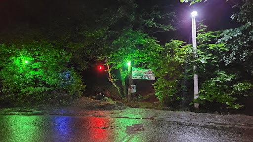 آلاچیق خانوادگی سیاهمزگی