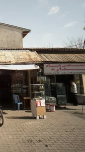 شیشه ساختمانی شاد 2