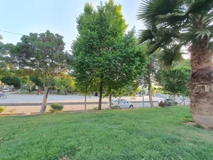 تپه چشمه علی 3