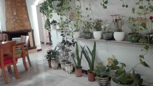 کبابی فرمانیه