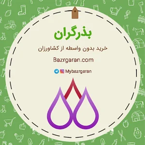 بذرگران