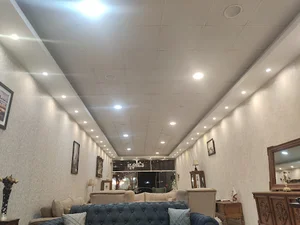 مبلمان جوان ۲