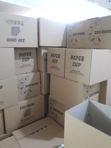 لیوان کاغذی کیوان کاپ
