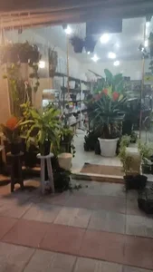 فروشگاه گل و گلدان آپادانا