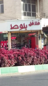 فلافل بلوط 4