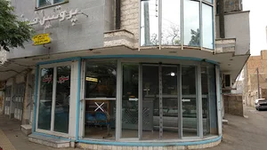 پروتئین فیاض
