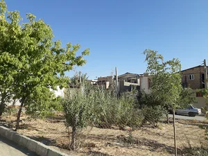 فضای سبز بانو سویا