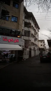 گل کوشا 4