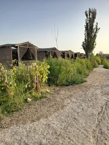 د عبدالمجید جلالزی کور . Abdul Majid Jalalzai's house
