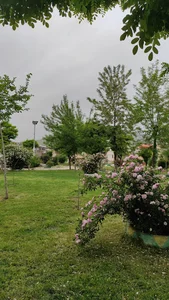 پارک سپیدار
