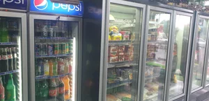 پروتئینی شهر 2