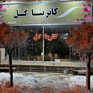 کاترینا گل