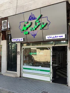 سلامتکده سید