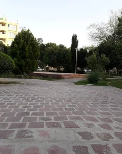 پارک بنفشه 2