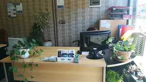 مهروگشت