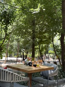 گالری ریشه ٢٩