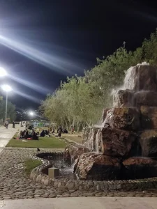 بوستان جنگلی