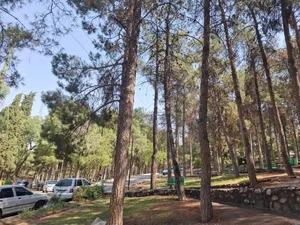 پارک شریعتی 4