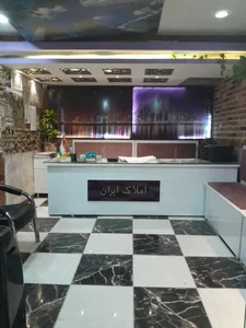 مشاور املاک ایران ۶۳ ( دهقان ) 4