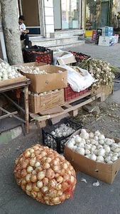 میدان بسیج