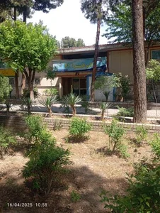 مجموعه ورزشی الزهرا 21 2