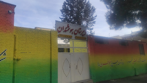 دبیرستان هوشمندان