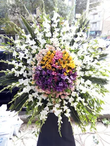 گلسرای آتوسا