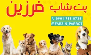 پت شاپ