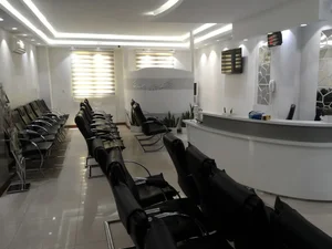 مطب پروفسور روشندل 3