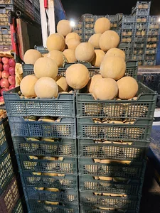 محصولات گلخانه ای و فضای باز گامبرون
