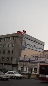 عینک سرسبز 2