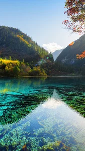 چهارراه ایثار