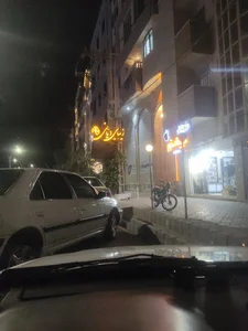 آکادمی انیس دیانی