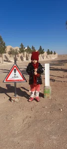 مرغداری بستامی