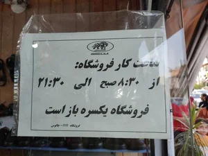 کفش ملی 1111 چالوس 2